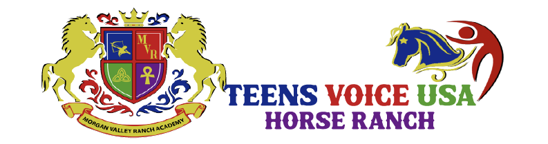 Teens Voice Usa